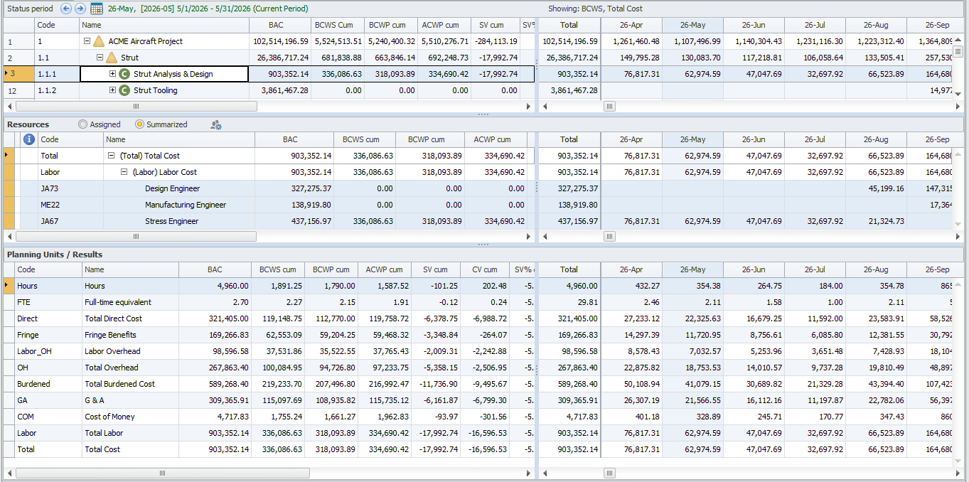EVMS forProject time-phased view: monthly values for the WBS, resources and each element of cost, alongside the cumulative totals